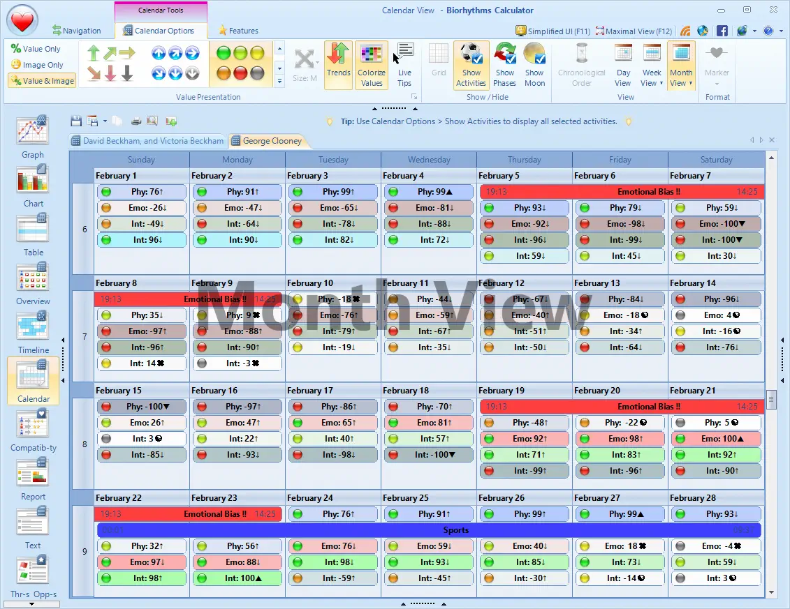 Biorhythms Calendar View